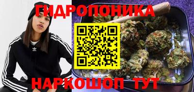 спиды Волгодонск